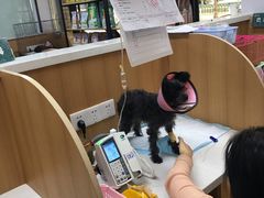 -联合动物医院(光谷诊疗中心)