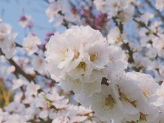 -杭州城北体育公园