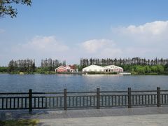 -上海长兴岛郊野公园