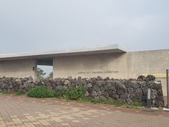 -涉地可支