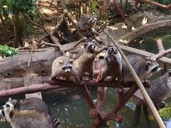 -长鹿旅游休博园