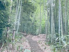 -蜀南竹海景区