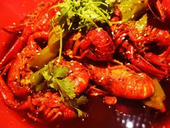 -红辣椒·川菜·火锅(张杨路店)