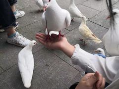 -南昌动物园