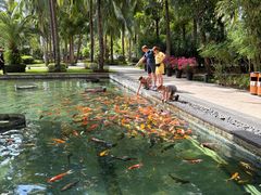 -三亚湾海居铂尔曼度假酒店