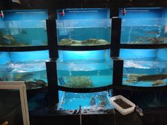 水产区-桐庐土菜馆·传承经典土菜