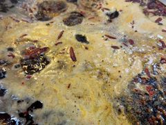 -储奇门鳝鱼火锅(总店)