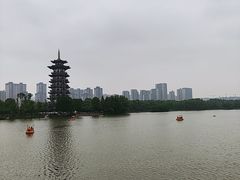 -洋湖国家湿地公园