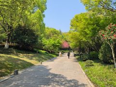 -杭州半山国家森林公园