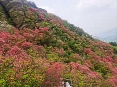 -木兰云雾山