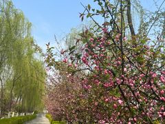-西安汉城湖景区