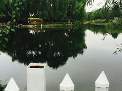 -望湖公园