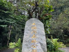 -普洱太阳河森林公园