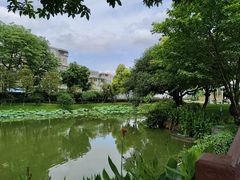 -长洲岛