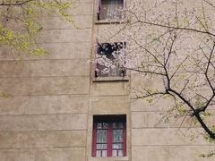 -武汉大学-樱园