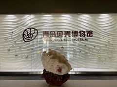 -青岛贝壳博物馆