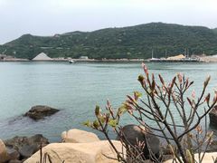 -东澳岛