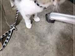 -铜瓢江湖兔火锅(水碾河社区店)