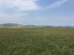 -空中草原