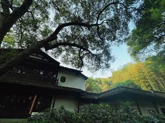 -杭州植物园