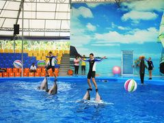 -尼莫海豚馆