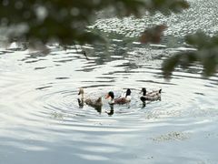 -天目湖涵田度假村