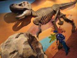 -北京科学中心儿童乐园