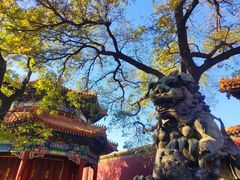 -北京国子监胡同
