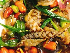 -陈添記·祖傳爽鱼皮·西关老字号(广州首店)