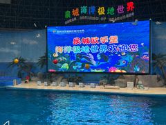 -泉城欧乐堡海洋极地世界