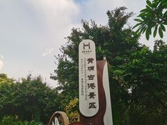 -黄埔古港