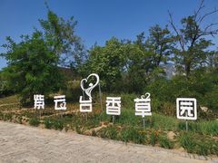 -紫云台香草园