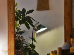 -邮葭