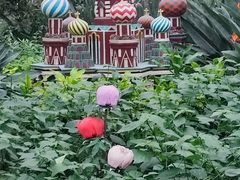 -南宫五洲植物乐园