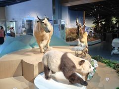 -陕西自然博物馆