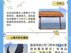 -日照海滨国家森林公园