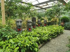 -南宫五洲植物乐园