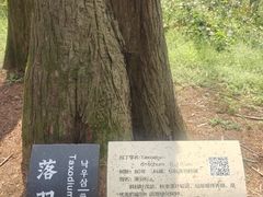 -波尔登森林公园