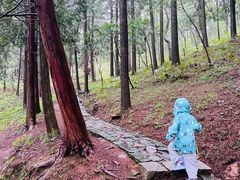 -四明山国家森林公园