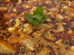 -川渔居—鱼火锅(八方汇店)