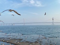 -星海广场