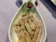 -梧桐