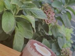 -IFIF 如果花園(宽厚里店)