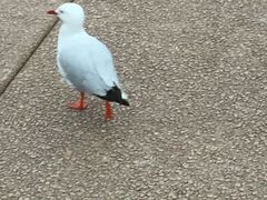 -番禺广场(市桥街道)