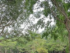 -野象谷景区