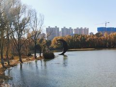 -昆山城市生态森林公园