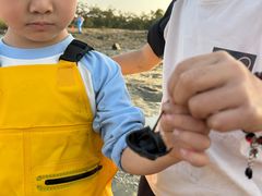 -北海金海湾红树林生态旅游区