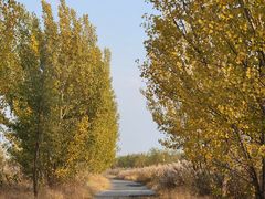 -天津东丽湖风景区