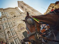 -米开朗琪罗广场