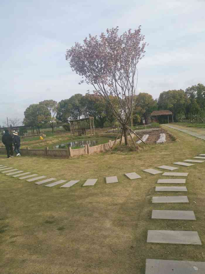 小灶村比想象中的好玩很多整体规划布局很棒